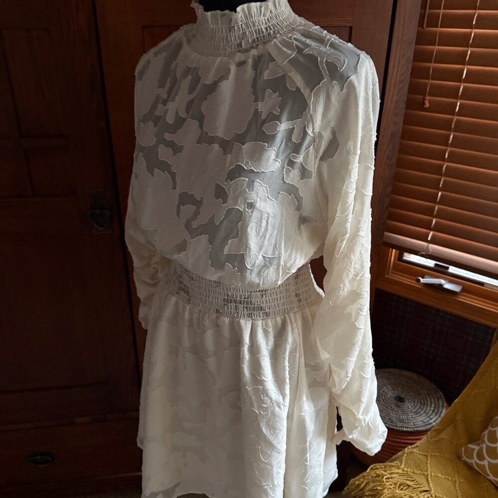 Forever 21 Sheer Applique Dress, Size Medium